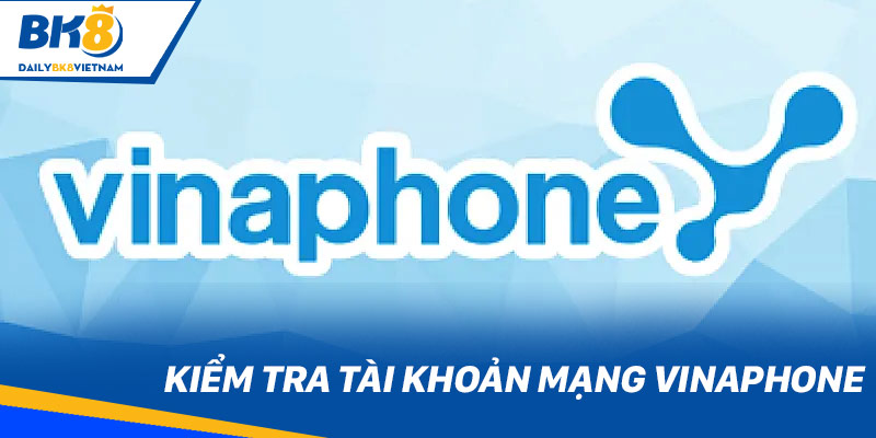 Kiểm tra tài khoản mạng Vinaphone