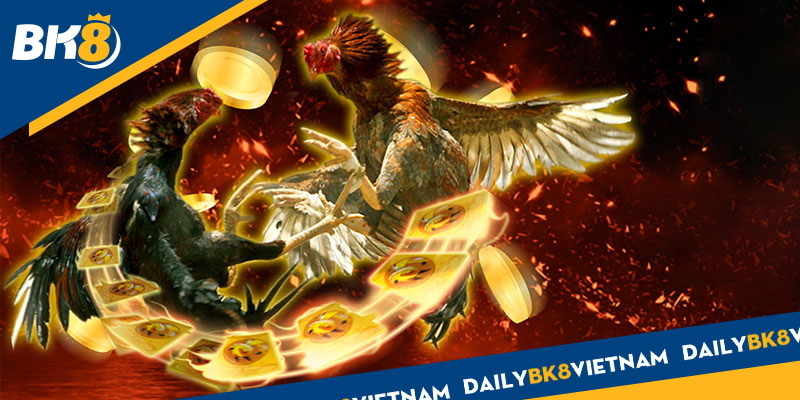 Các bí quyết chơi đá gà dễ ăn cho chiếu mới