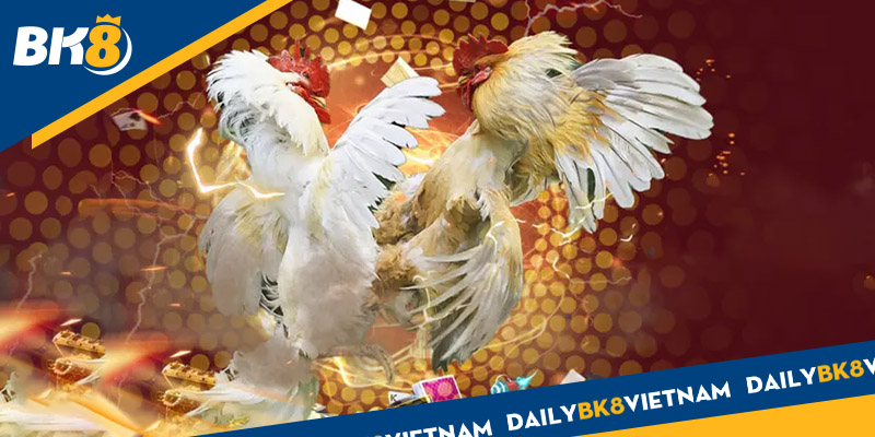 Sức hút của đá gà online hiện nay