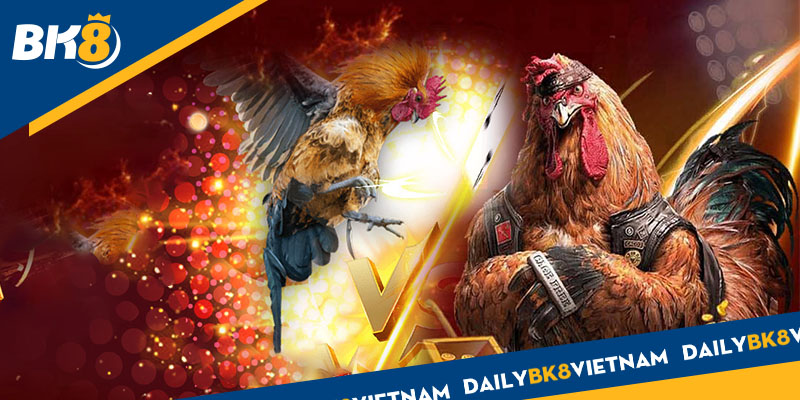Tất tần tật về Đá gà trực tuyến tại cổng BK8