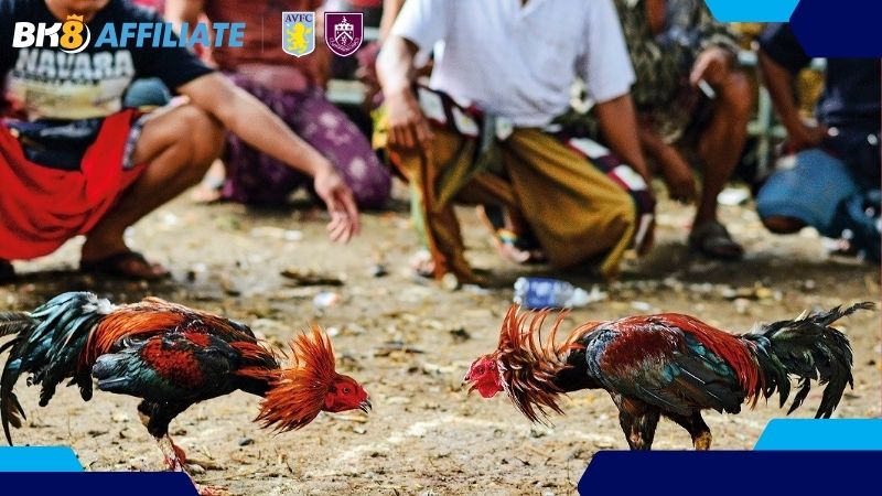 Có nhiều cách làm đại lý đá gà