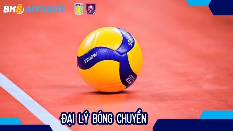 Đại lý bóng chuyền: Cơ hội kiếm tiền, phát triển thị trường