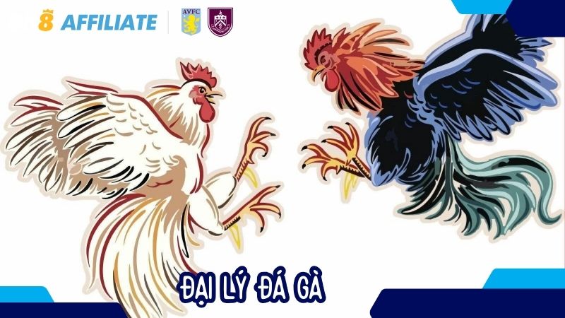 Đại lý đá gà – Khám phá tiềm năng thu nhập lớn từ dailybk8vn