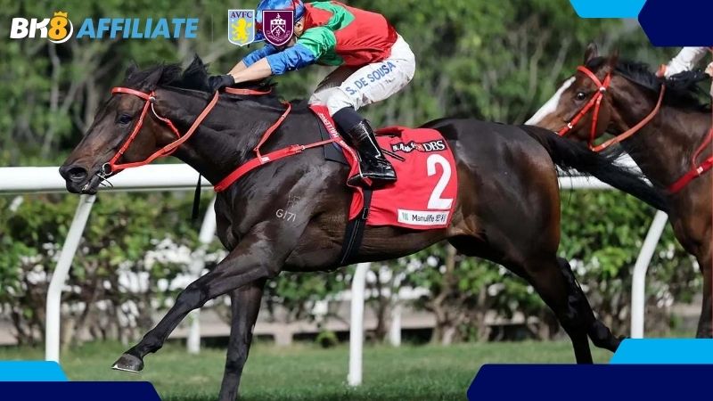 Hiểu biết về đua ngựa là lợi thế của đại lý